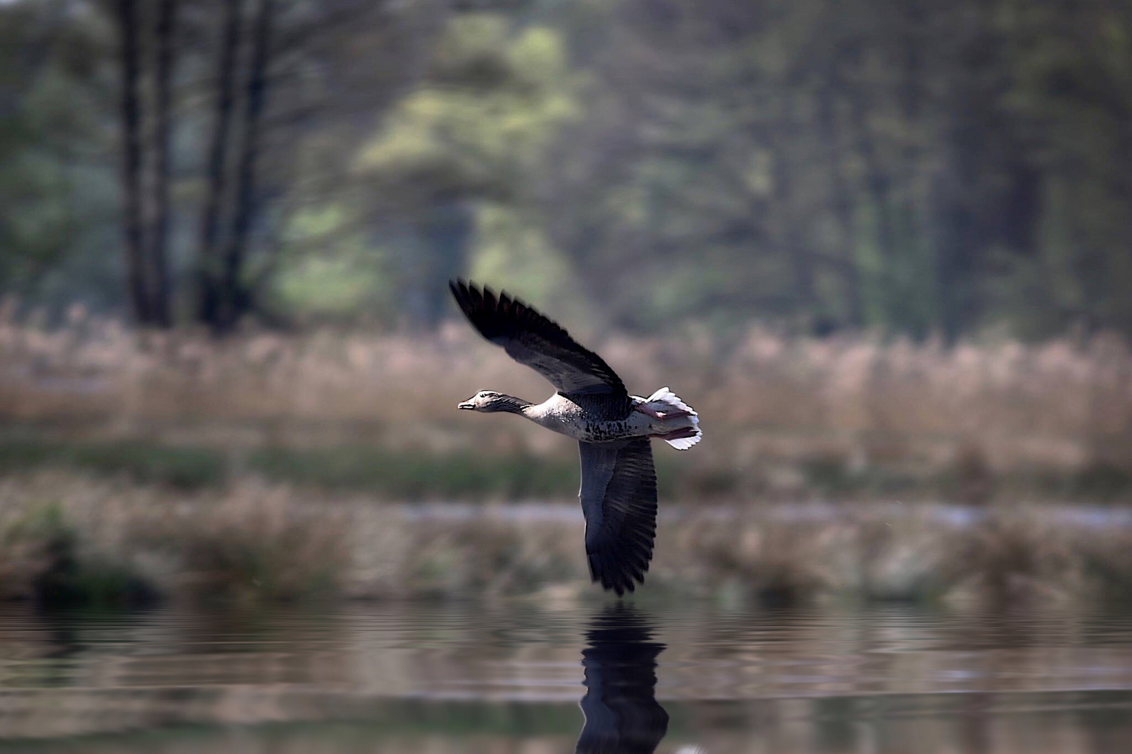 Flugzeit