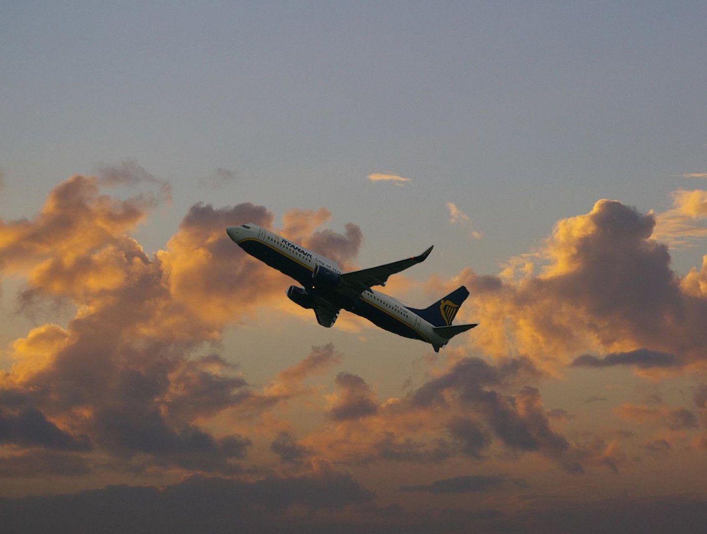 Flugzeug im Sonnenuntergang