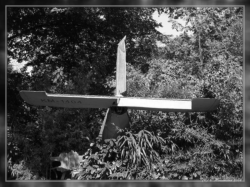 Flugzeug im Zoo Busch II