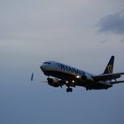 Flugzeug ...Ryanair