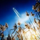 Flugzeug über Naturschutzgebiet