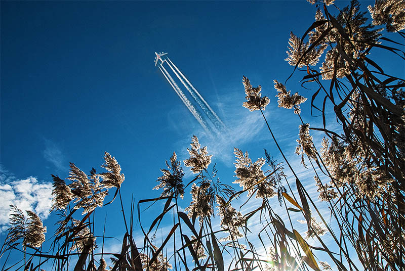 Flugzeug über Naturschutzgebiet