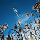 Flugzeug über Naturschutzgebiet