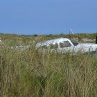 Flugzeug zwischen Dünen