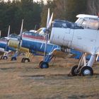 Flugzeugfriedhof 2