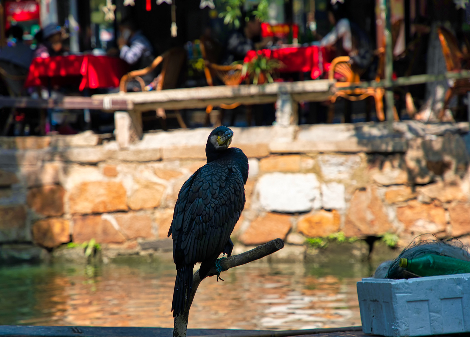 Flugzeugträger im Kanal