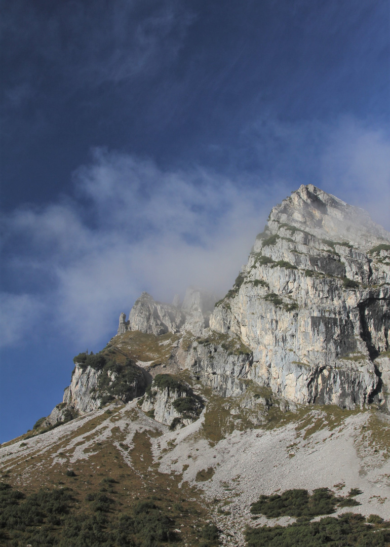 Fluonalp