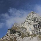 Fluonalp