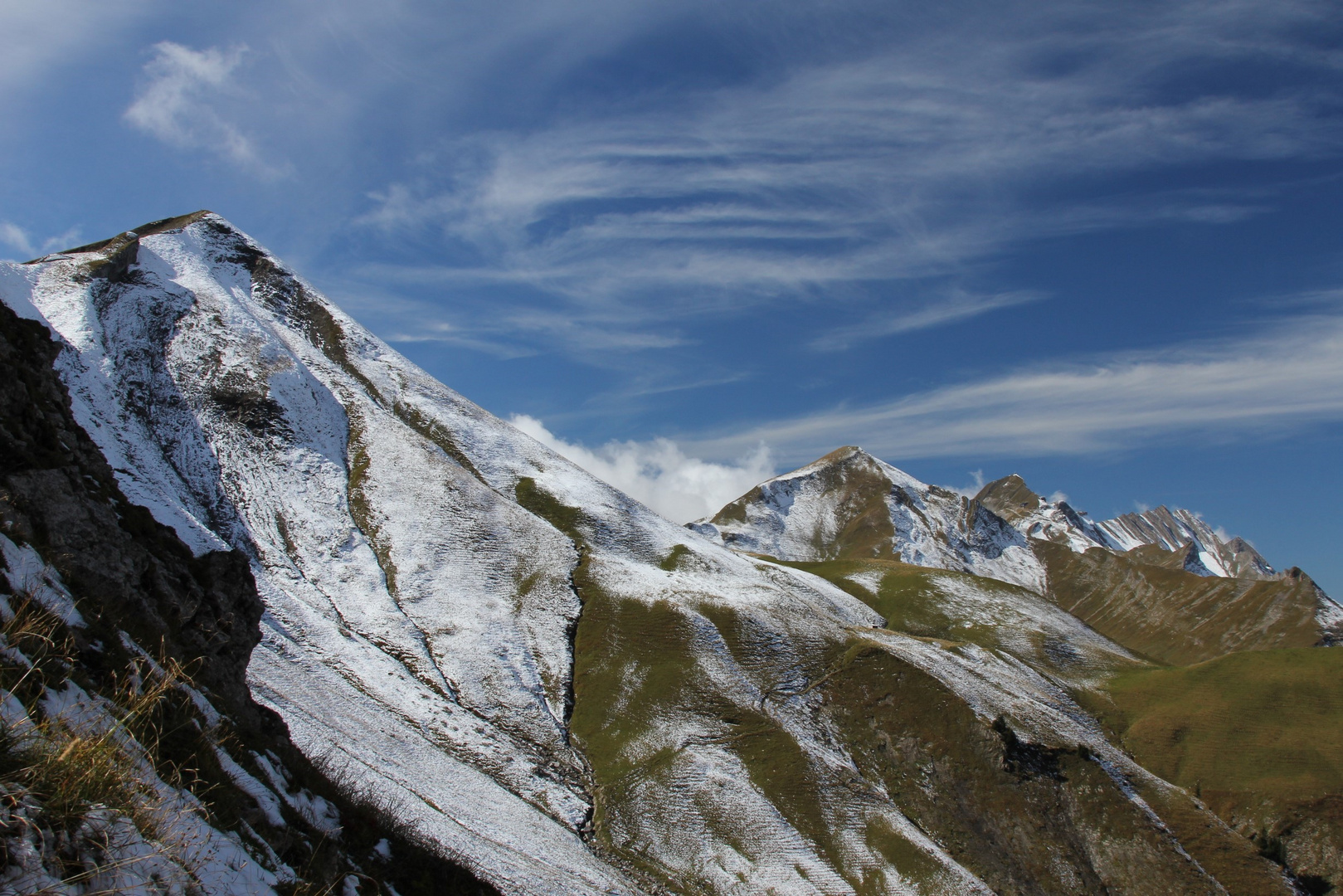 Fluonalp