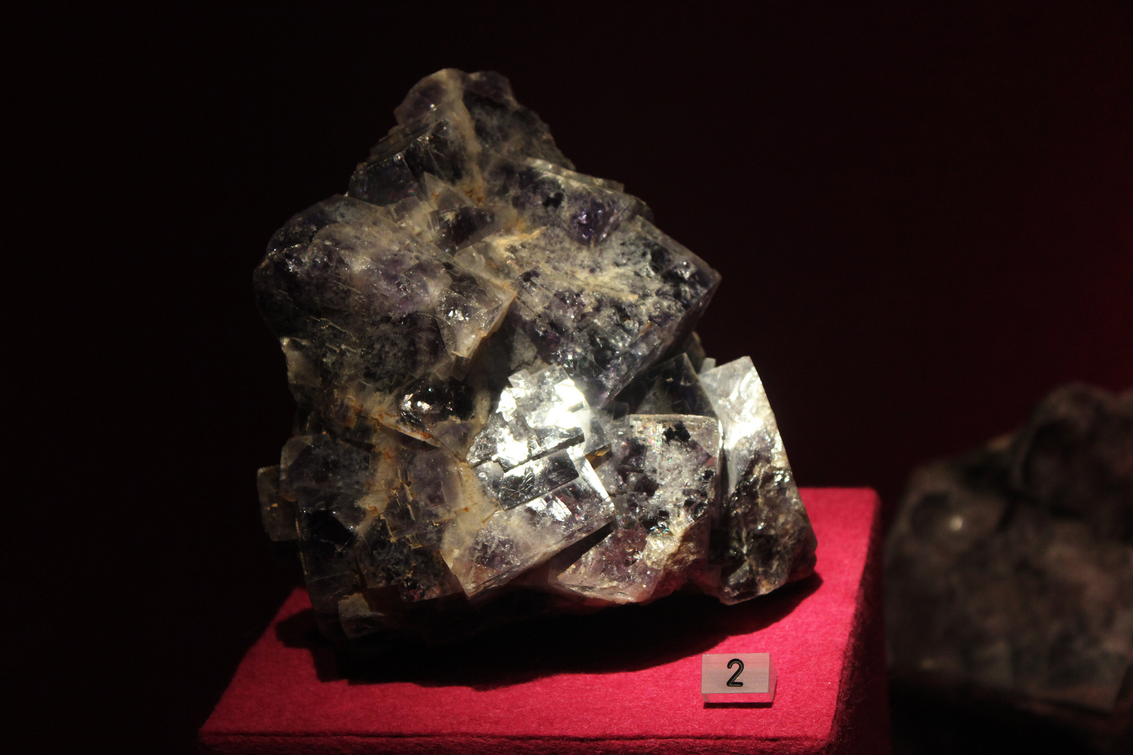 Fluorite @ Mineralogisches Museum Hamburg Ib