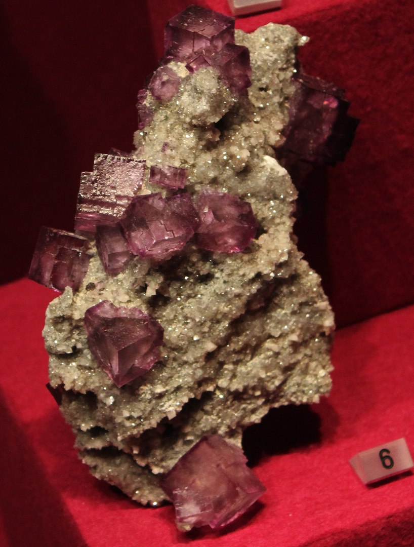 Fluorite @ Mineralogisches Museum Hamburg Id