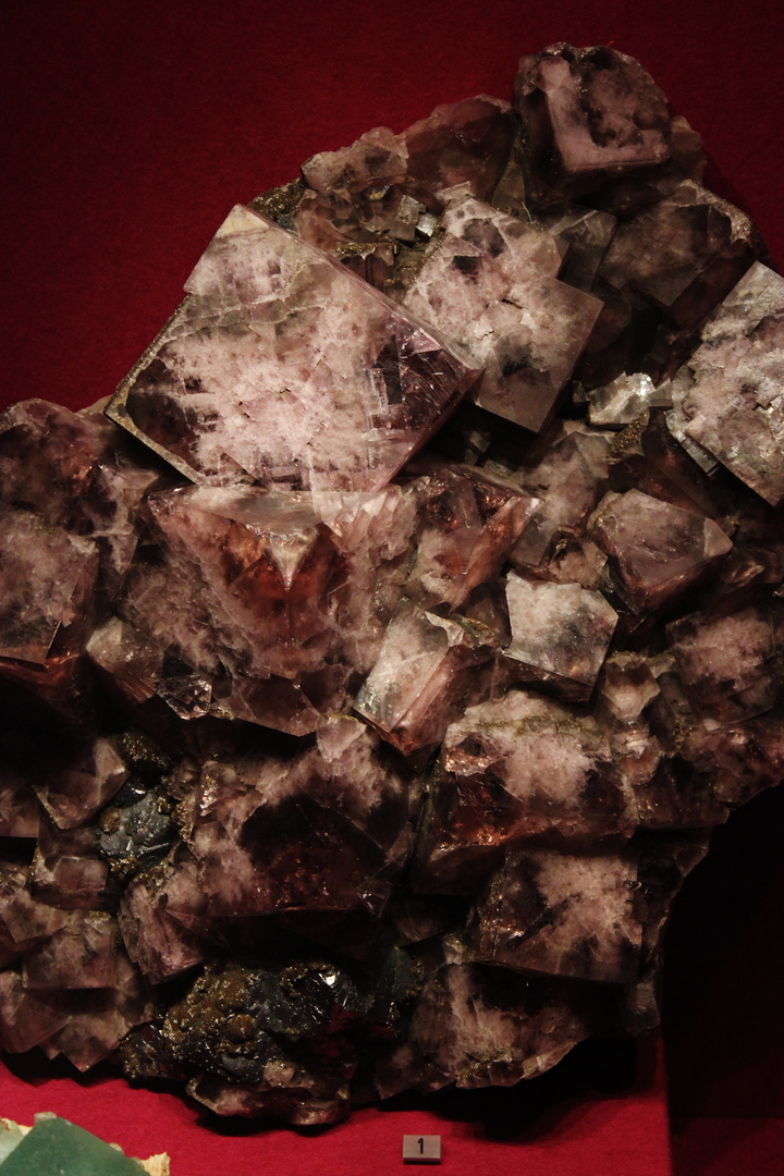 Fluorite @ Mineralogisches Museum Hamburg IIa
