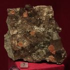 Fluorite on smoky quartz @ Mineralogisches Museum Hamburg