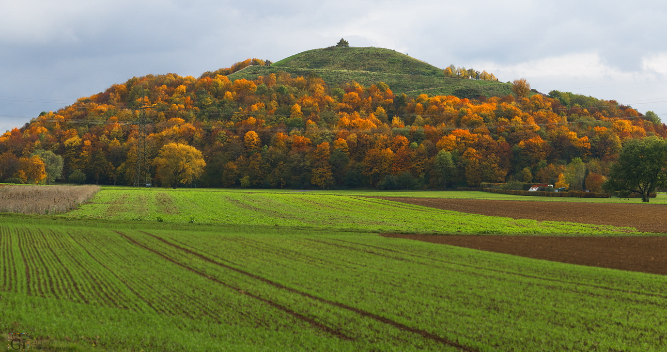 Flur im Herbst mit Hügel