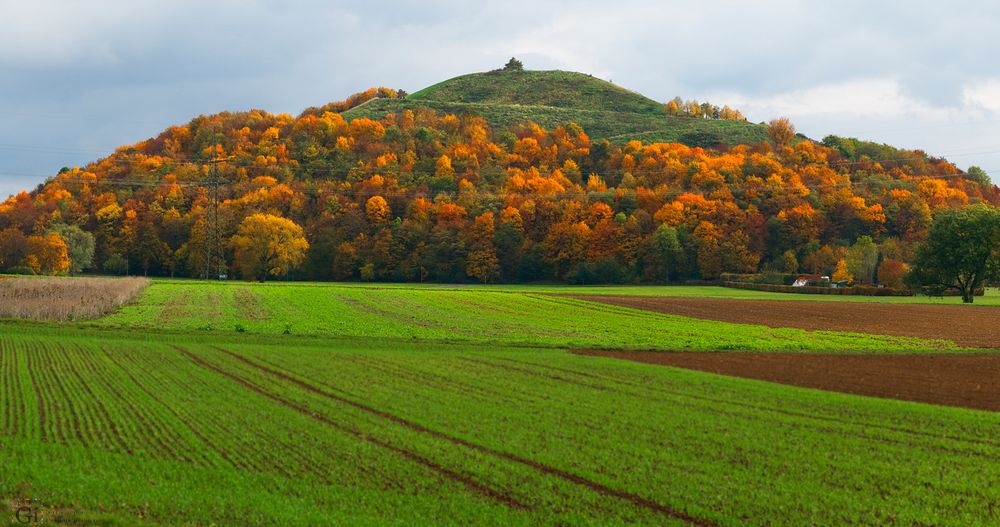 Flur im Herbst mit Hügel