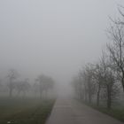 Flurbereinigungsweg im Nebel