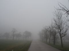 Flurbereinigungsweg im Nebel