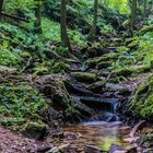 Flursbach in der Margarethenschlucht