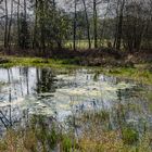 Flurstück 'Auf der Horst'