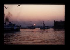 Flusen und Möven fliegen über den Bosporus bei Istanbul