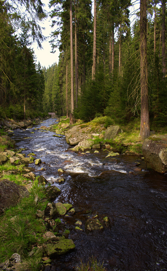 Fluss abwährts...