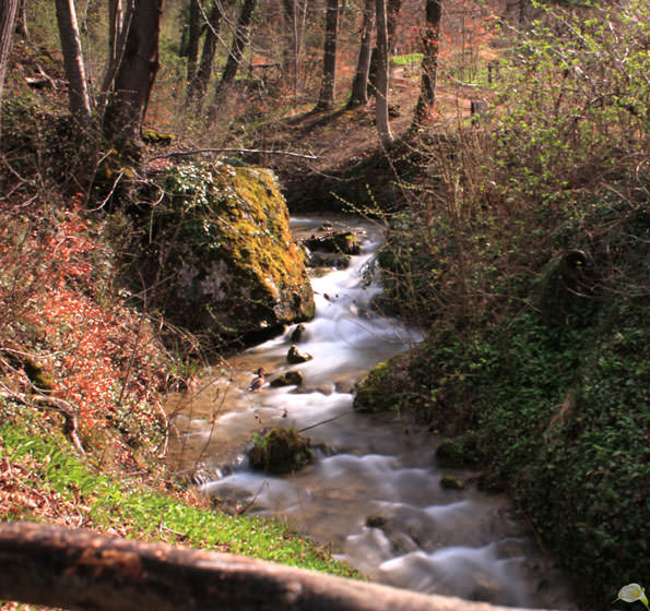 Fluss Arlesheim BL