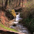 Fluss Arlesheim BL