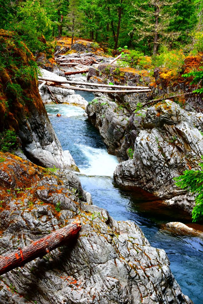 Fluss auf Vancouver Island, Kanada