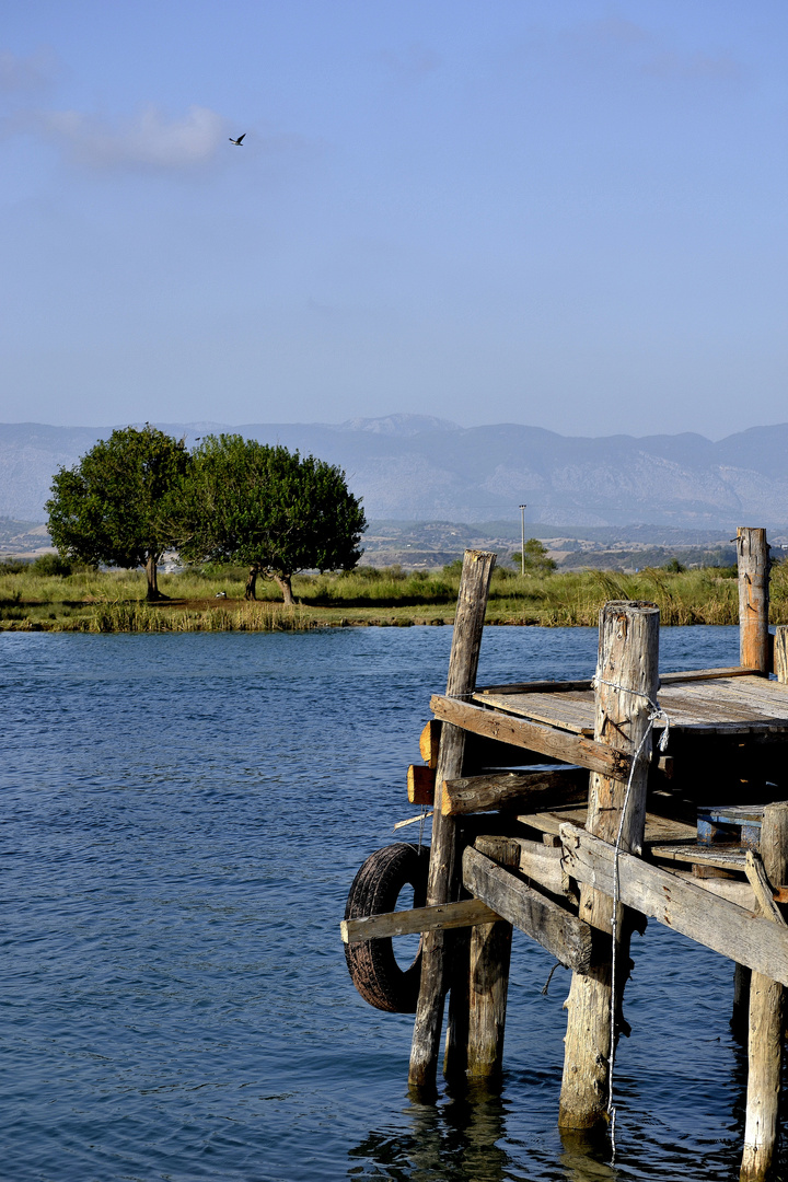 Fluss, Baum und Berg