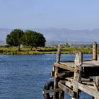 Fluss, Baum und Berg