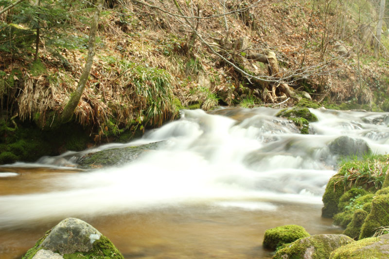 Fluss bei Allerheiligen