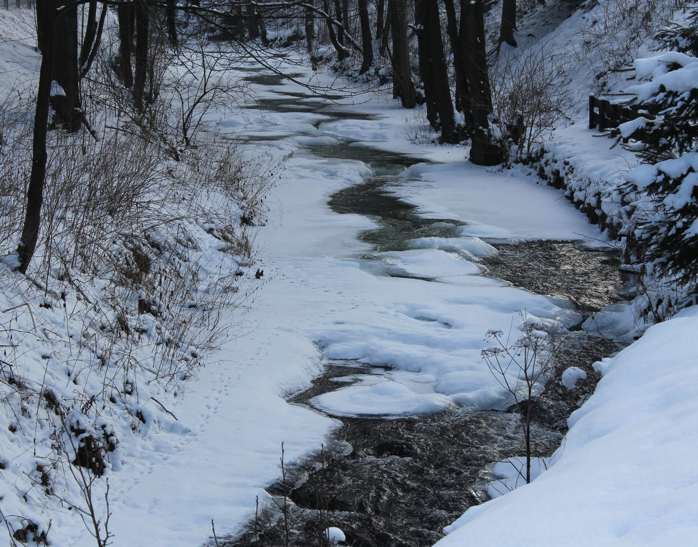 Fluss bei Frohnau