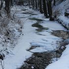 Fluss bei Frohnau