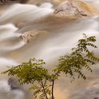 Fluss