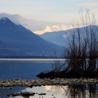 Fluss-Delta Maggia