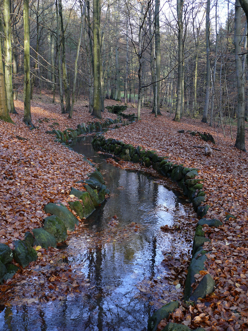 Fluss der Gedanken