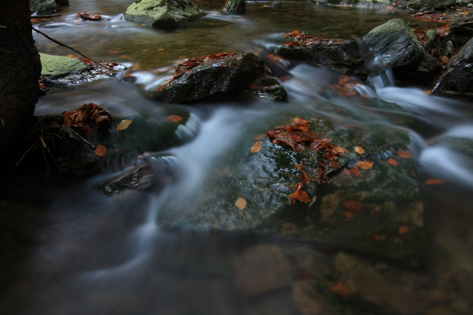 Fluss des Lebens