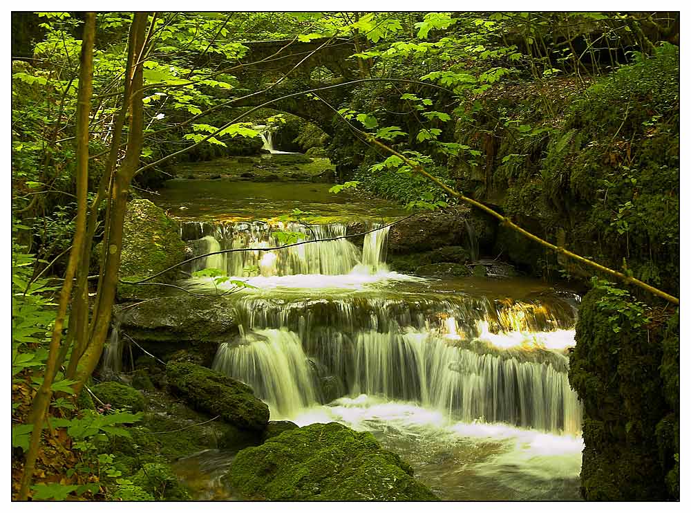 Fluss Des Lebens Fluss Des Lebens