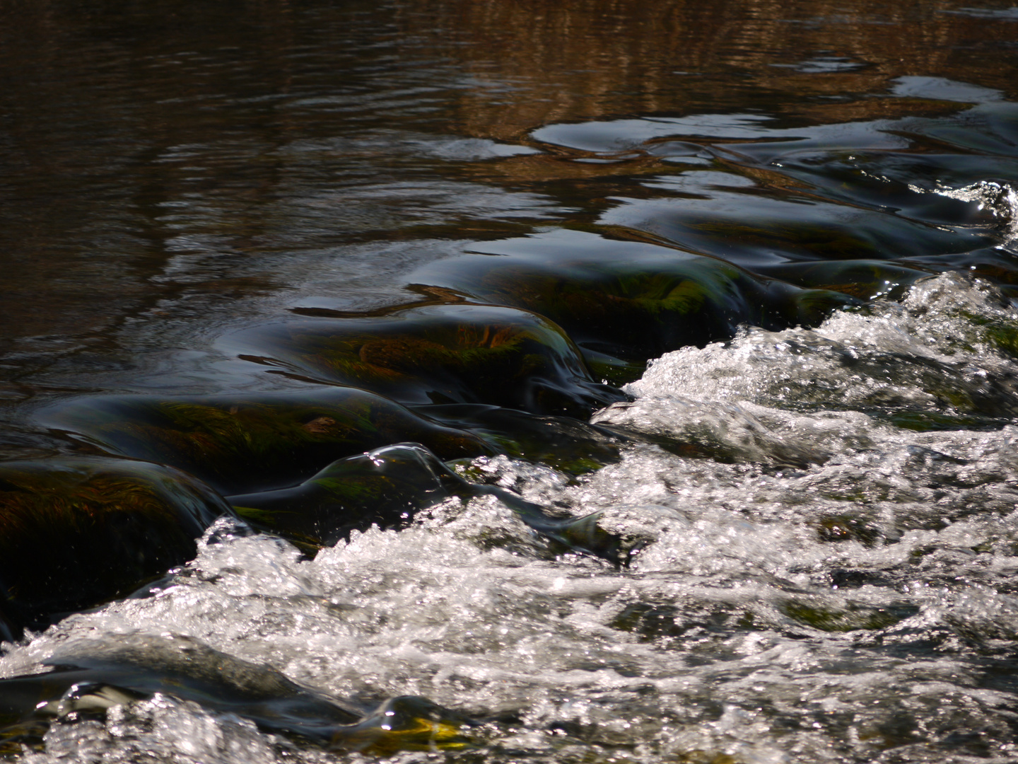 Fluss des Lebens.....