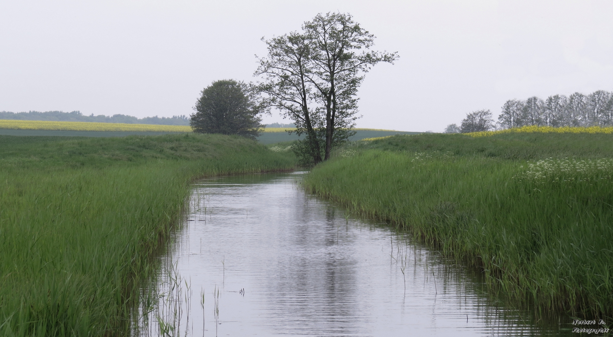 Fluss des Lebens