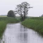 Fluss des Lebens