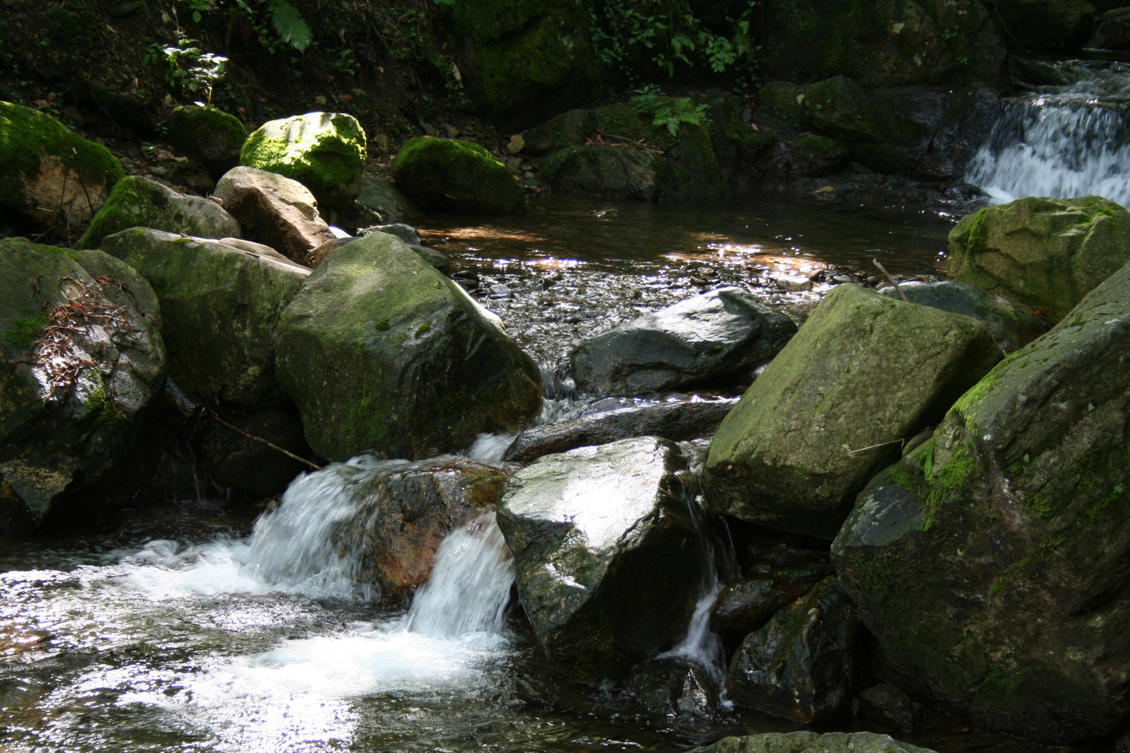 Fluss des Lebens....