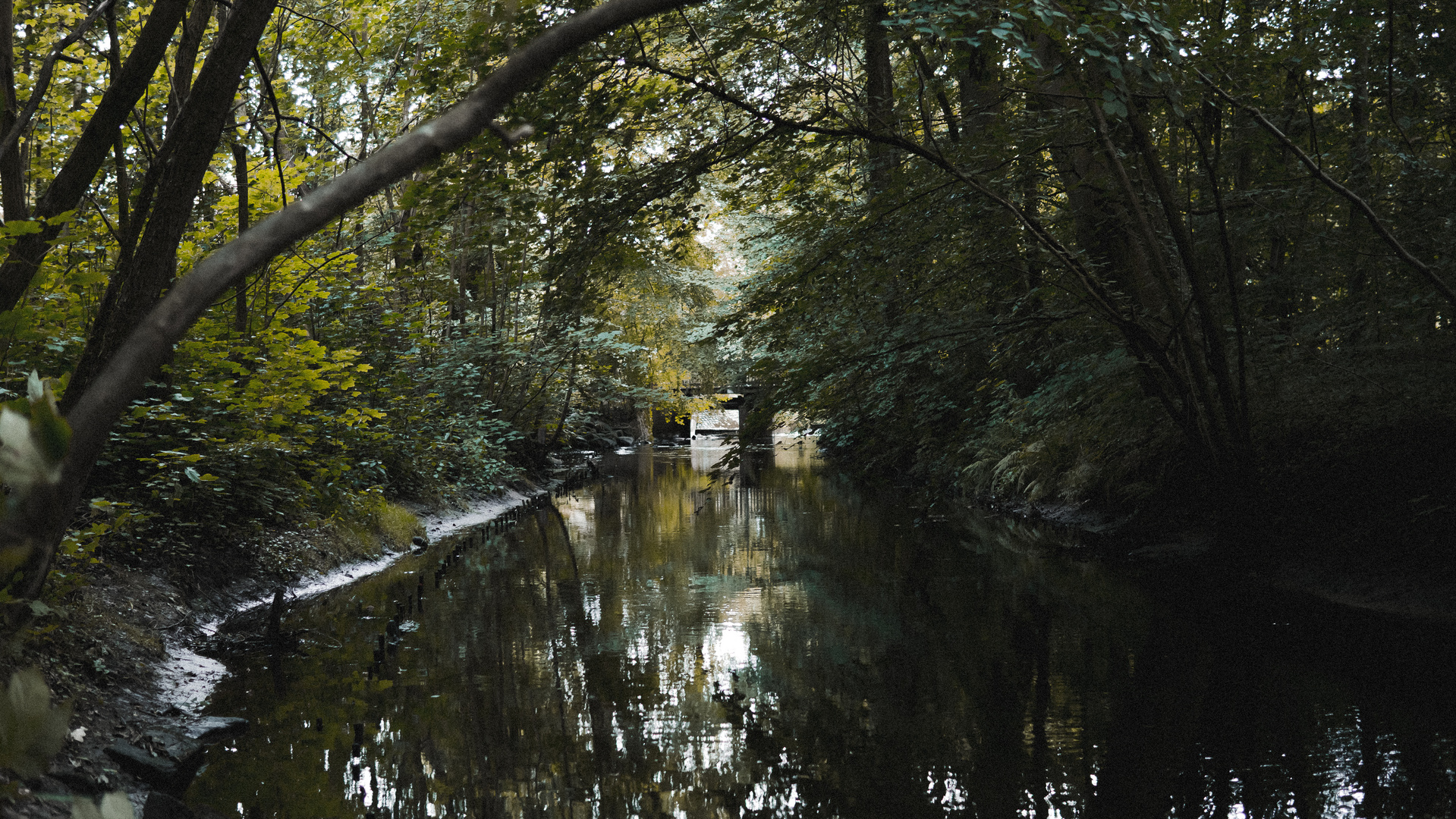 Fluss & die grüne Oase