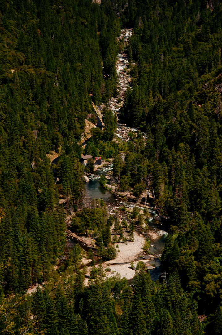 Fluss durch ein Wald