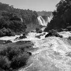 Fluß Iguazú talabwärts, s/w