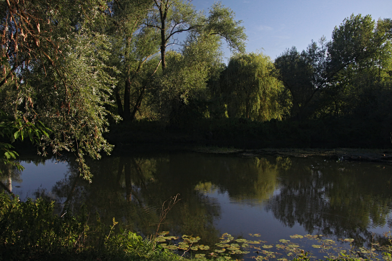 Fluss im Abendlicht