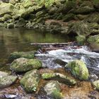 Fluss im Bayerischen Wald