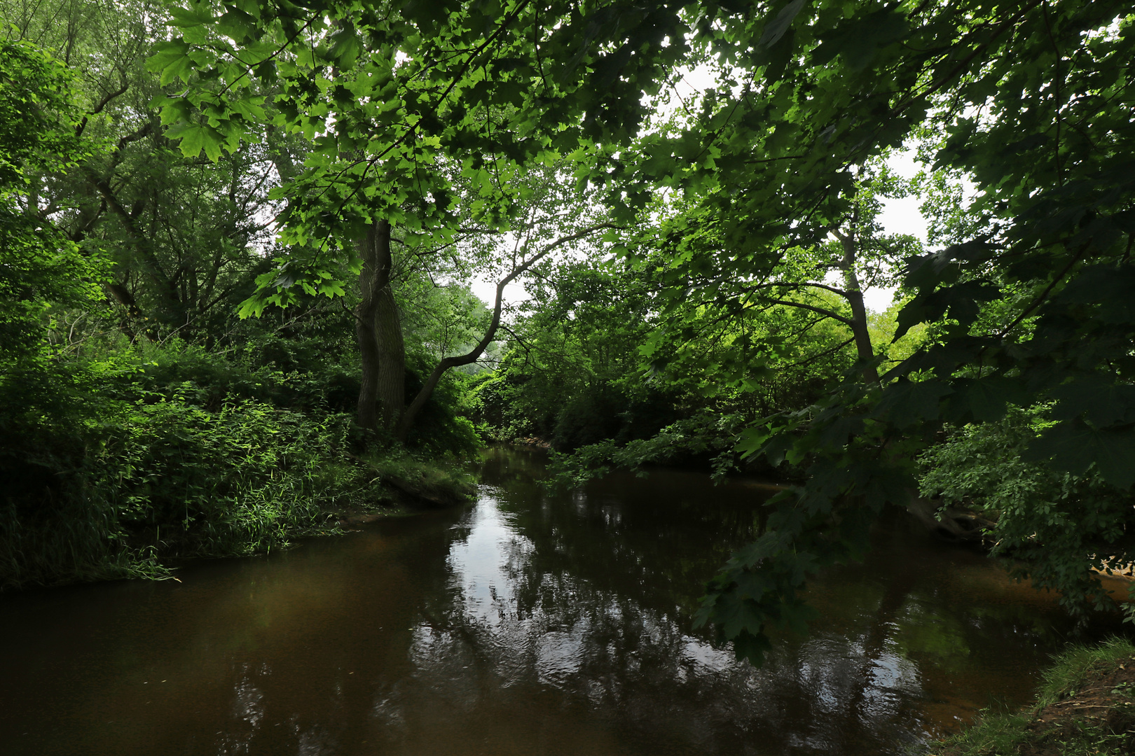 Fluss im Dämmerlicht