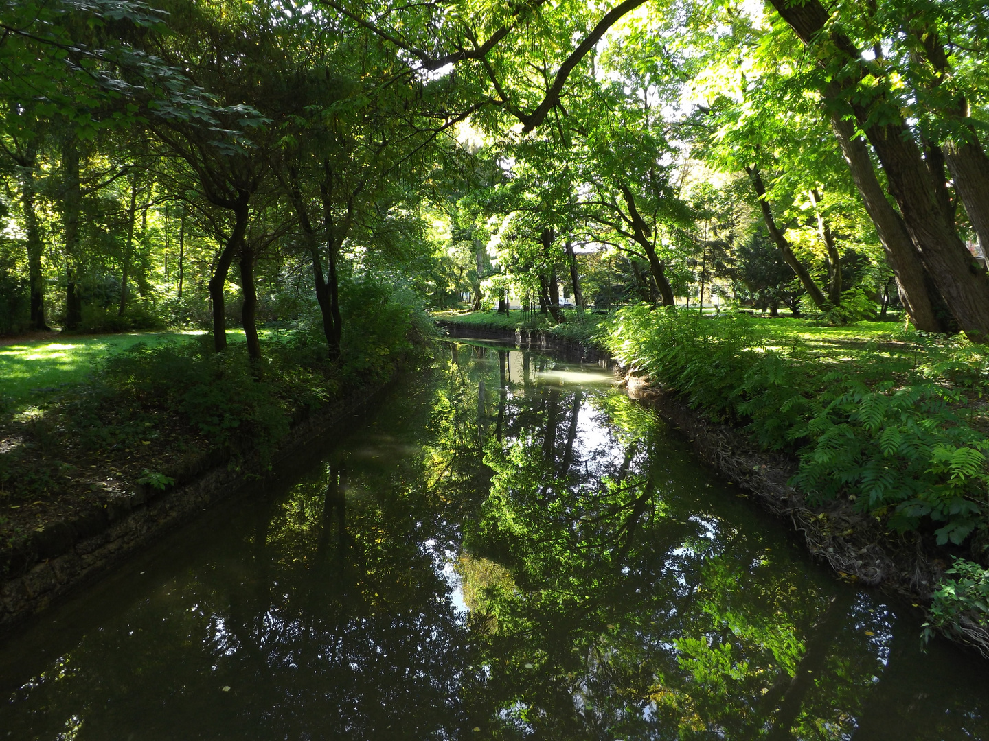 Fluss im Englischen Garten