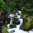 Fluss im Fiordland